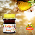 Kashmir-Honey-250-ML-6